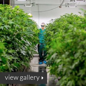 M&uuml;v Dispensary photo