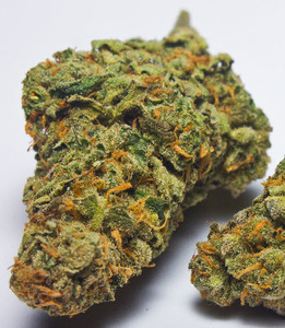 Armageddon Skunk image