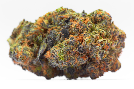 Gelato image