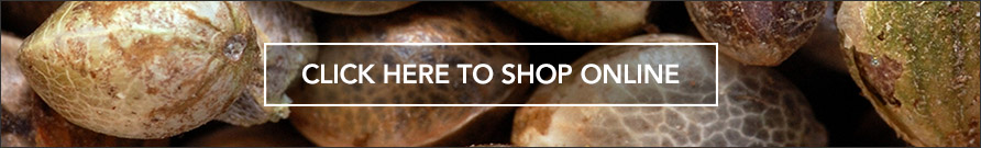 Where to buy Premium Seed Market products