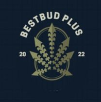 Best Buds - MS logo