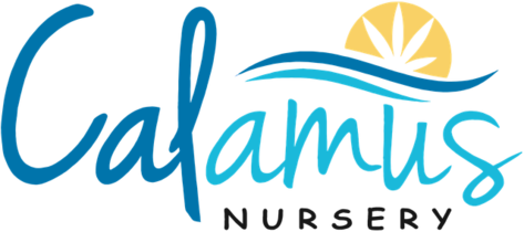 Calamus Nursery logo