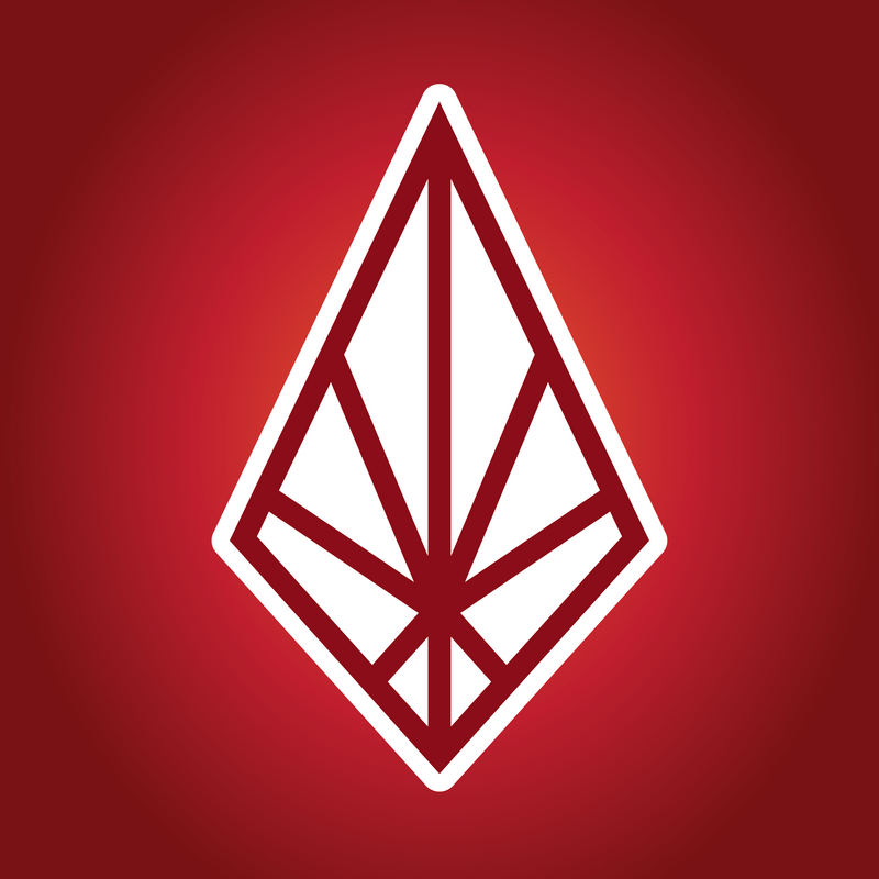 SUBSTANCE logo