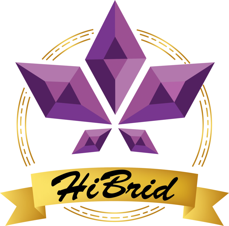 HiBrid logo