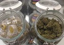 Nectar Cannabis - Burlingame photo